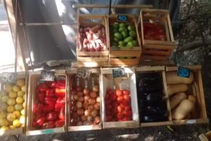 VERDULERIA EL NATURAL