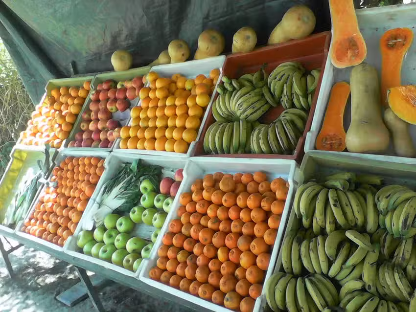 Verduler&iacute;a Morenita