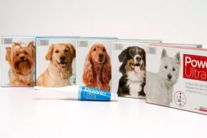 VETERINARIA PAMPA FLORIDA