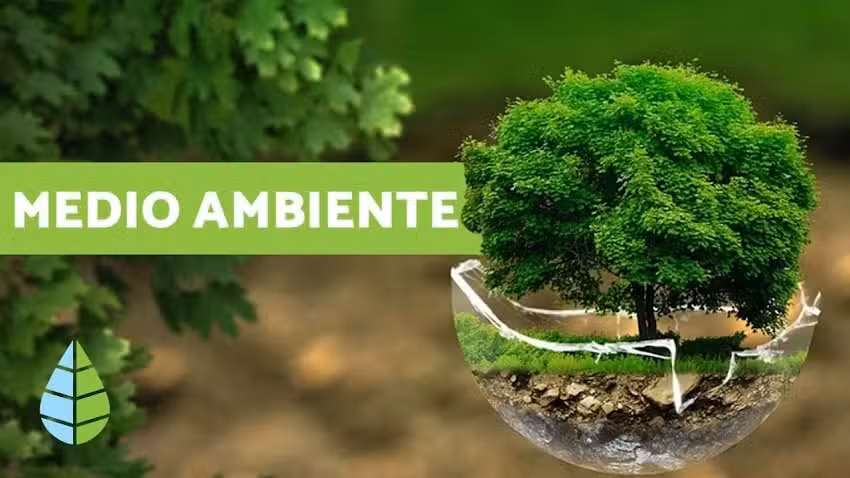 vida Ecologica y Natural
