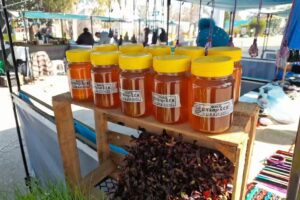 Vikingo Granja Agroecologica