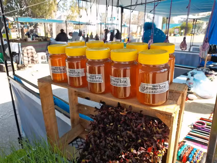 Vikingo Granja Agroecologica