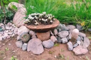 Vivero Eliser (productos regionales)