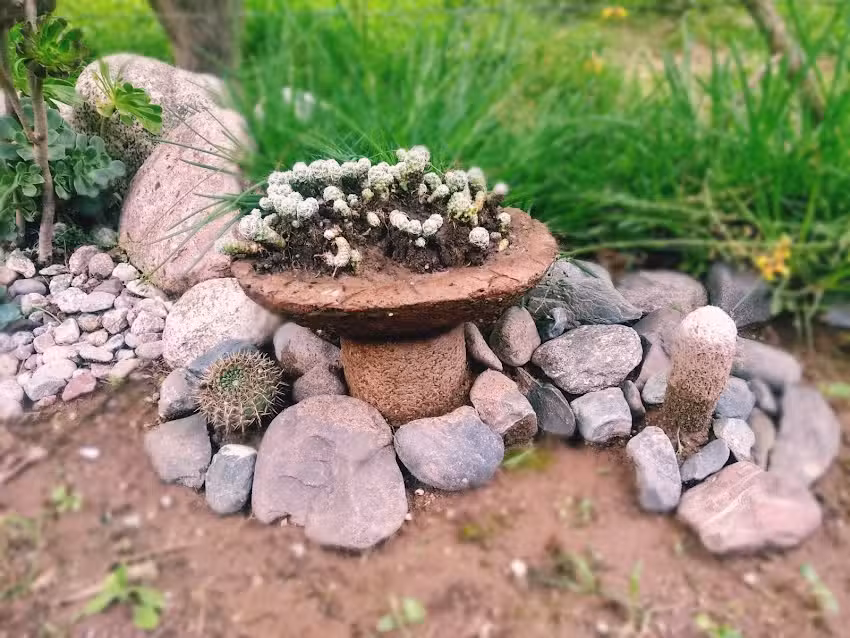 Vivero Eliser (productos regionales)