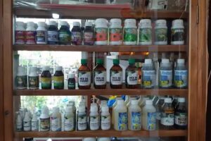 Vivero Mundo Natural