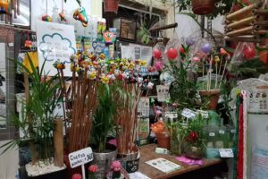 Vivero Natural Mente