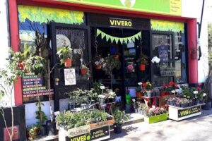 Vivero Plantas Al Natural