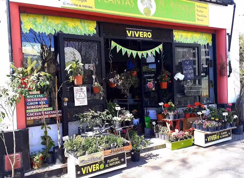 Vivero Plantas Al Natural