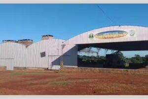 Yerba Mate Grapia Milenaria