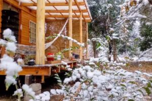 Yuyaymana Herbolaria