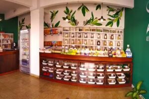 Zayt Almac&eacute;n Saludable